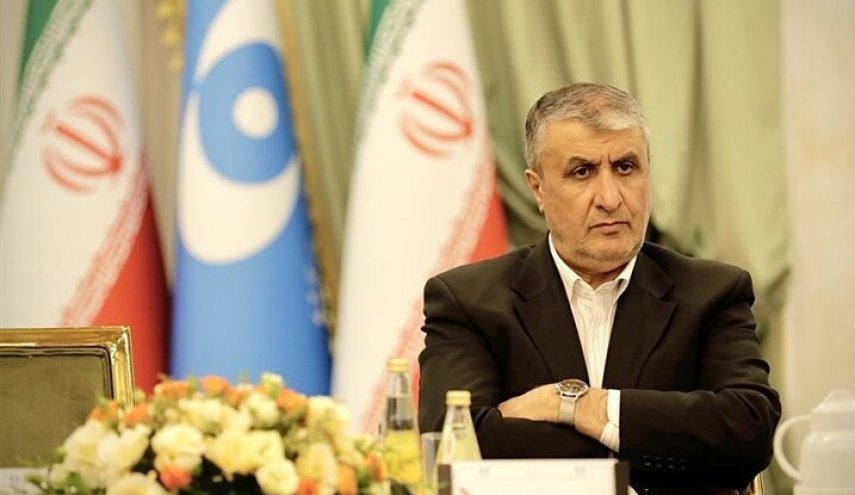 إسلامي: استئناف عمليات التفتيش مشروط باتخاذ إجراءات خاصة