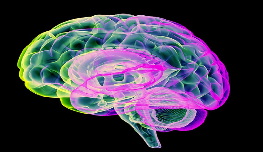 دراسة تبين تأثير الأمراض ونمط الحياة على شيخوخة الدماغ