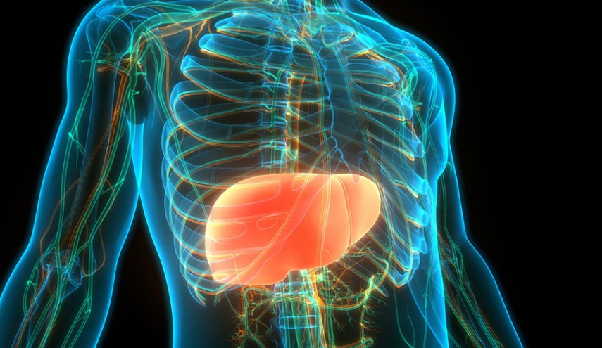 احمي كبدك بطريقة طبيعية مع أوراق التوت!