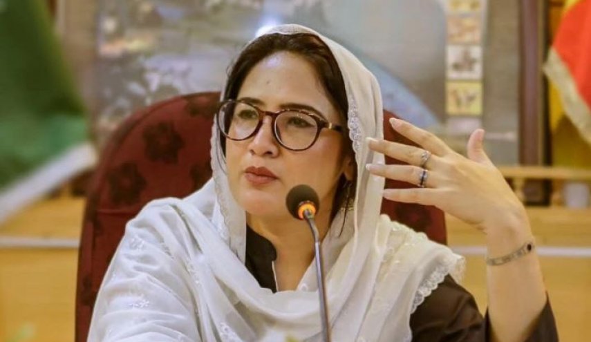 استاد دانشگاه پاکستان: ایران تسلیم فشارخارجی نمی‌شود/ تاکید بر درس گرفتن غرب از گذشته