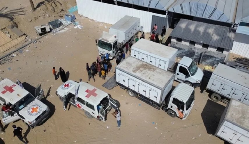 أشلاء في صناديق مغلقة بغزة…مشهد يهزّ ما تبقى من ضمير العالم