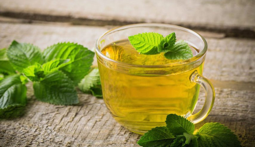 نبتة عطرية تحمي الدماغ من الالتهابات