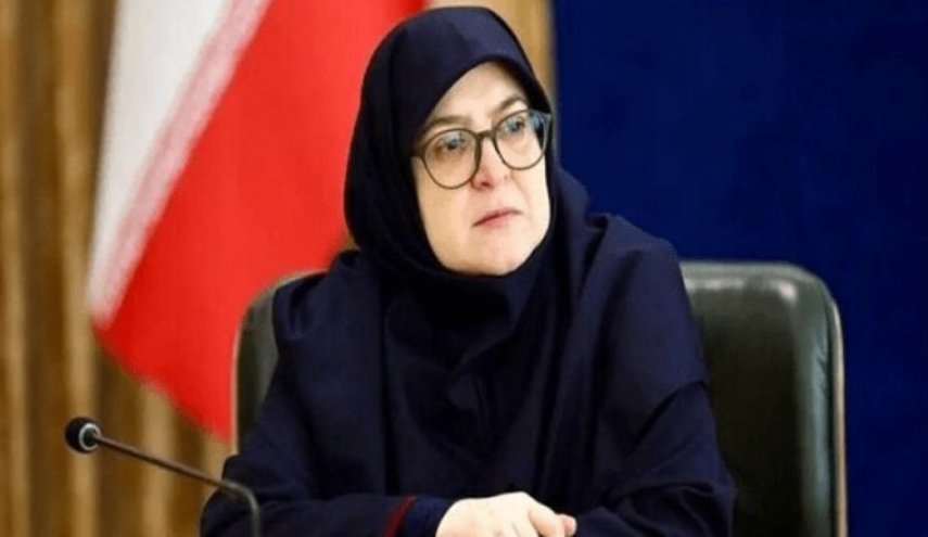 مهاجرانی: تداوم حملات به مراکز علمی نشان‌دهنده دشمنی با پیشرفت ایران است