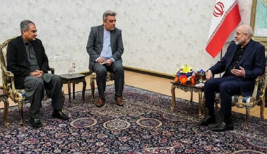 رئیس مجلس شورای اسلامی در دیدار با وزیر کشور پاکستان: حضور آمریکا در منطقه زمینه‌ساز ناامنی است