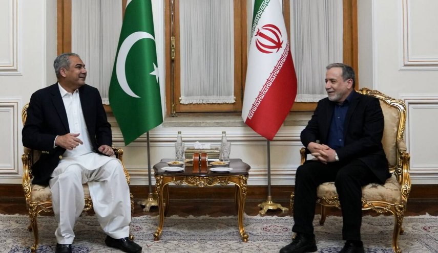 عراقچی با وزیر کشور پاکستان دیدار کرد