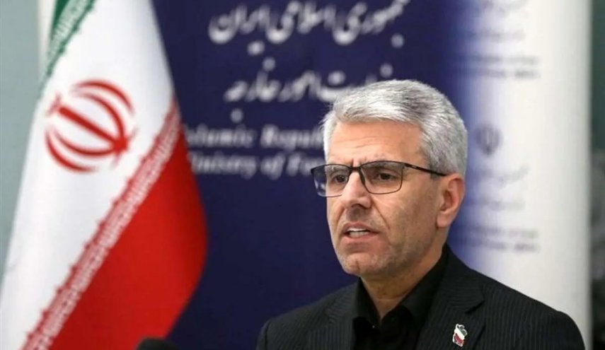 بقائی: حمله پلیس هلند به همسر باردار مرد فلسطینی نقض فاحش حقوق بشر است