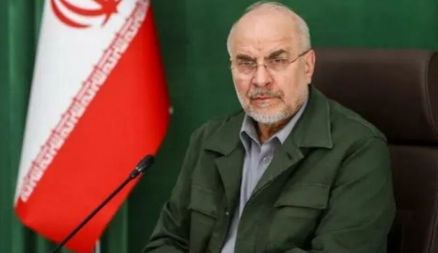 رئیس مجلس شورای اسلامی وارد باکو شد