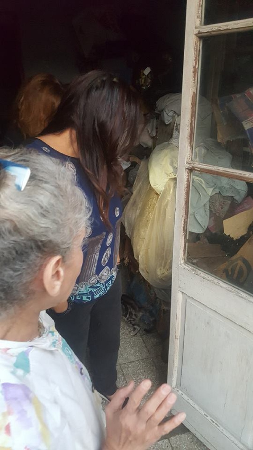 بالصور.. لغز عجوز مصرية عثر بشقتها على مقبرة قطط مذبوحة!