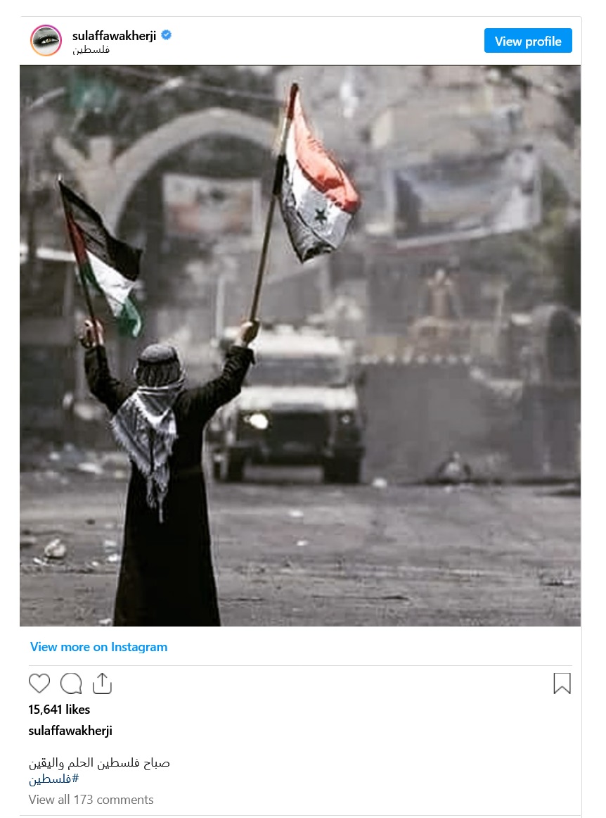 فنانون عرب دعموا 'طوفان الاقصى' وتضامنوا مع فلسطين..تعرف عليهم
