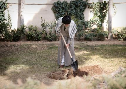 رهبر انقلاب: نهضت ملی درختکاری جدی گرفته شود و ادامه یابد