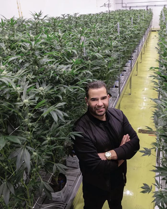 تسيطر شركته على سلسلة الإنتاج بأكملها، من زراعة البذور، إلى معالجة النباتات، وصولًا إلى بيع المنتج النهائي للمستهلك